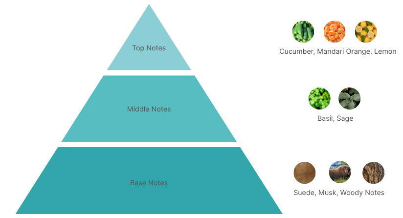 parfume pyramid Summer Bloom Men