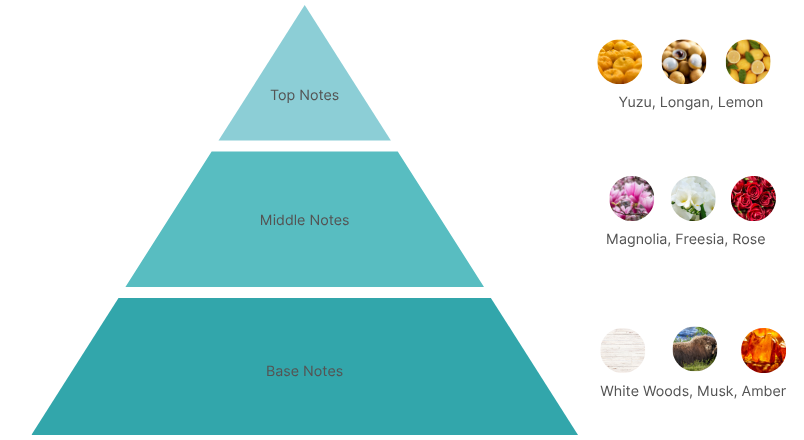 parfum pyramid Aurorra for Women